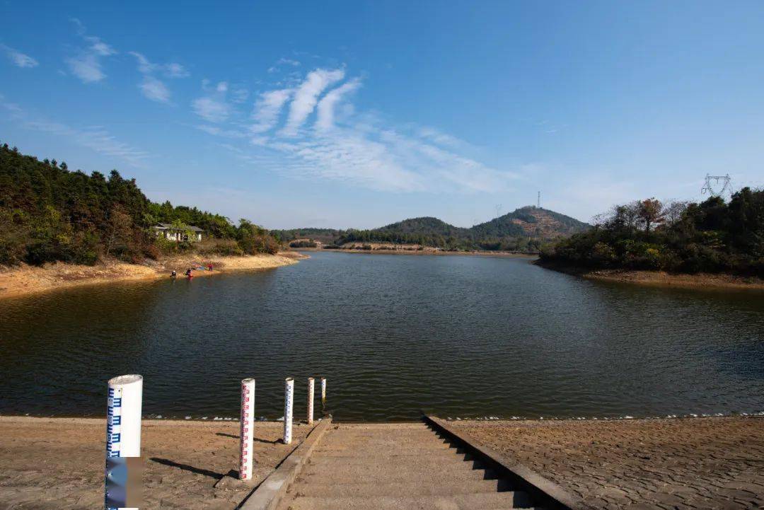 村党支部书记谈发展沙头村点燃红色引擎激发乡村振兴活力