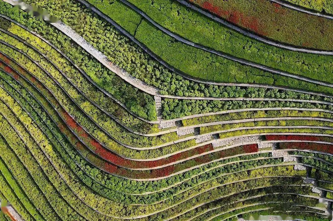 地景设计 | 打破边界,营造场所精神_景观_艺术_earth