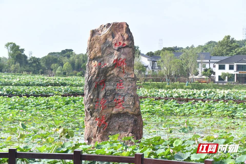 海外华文媒体走进湖南一起感叹新“山乡巨变”