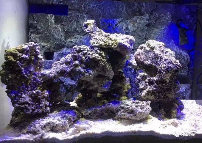 海水鱼缸中的造景材料之生态岩石（活石）的挑选和摆放方法_石块_水族_文章