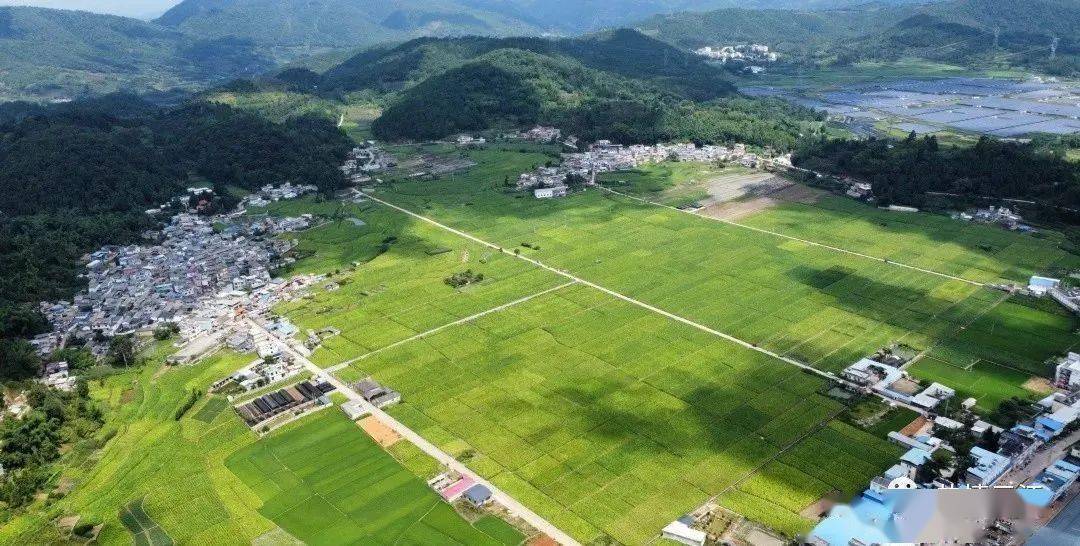 元江县因远镇:打通村办企业"造血功能" 集体经济发展"提档加速"