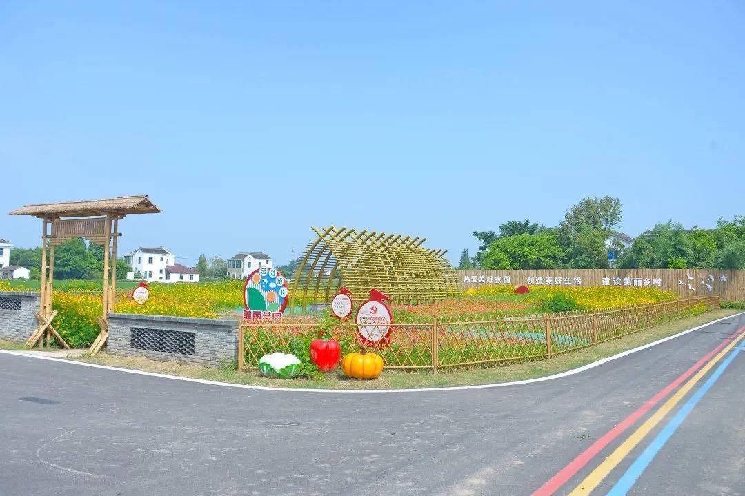 "口袋公园"与"美丽菜园"相结合,扮靓了乡村周边环境,让一处美变成区域