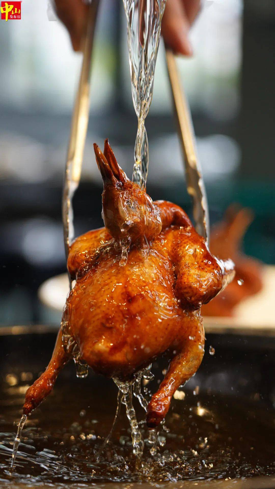 菜谱"石岐乳鸽专场发布活动及中山市第一届"鸽肴"大赛在兴中广场举行