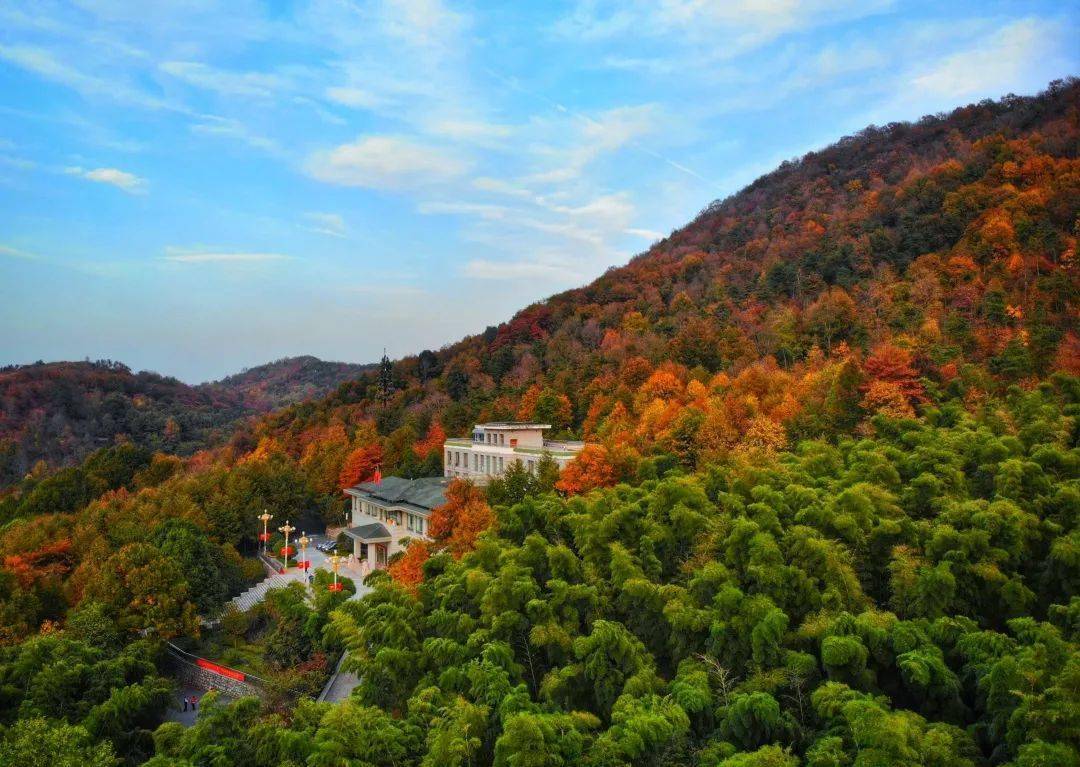 闯进东庵森林公园过23的夏天