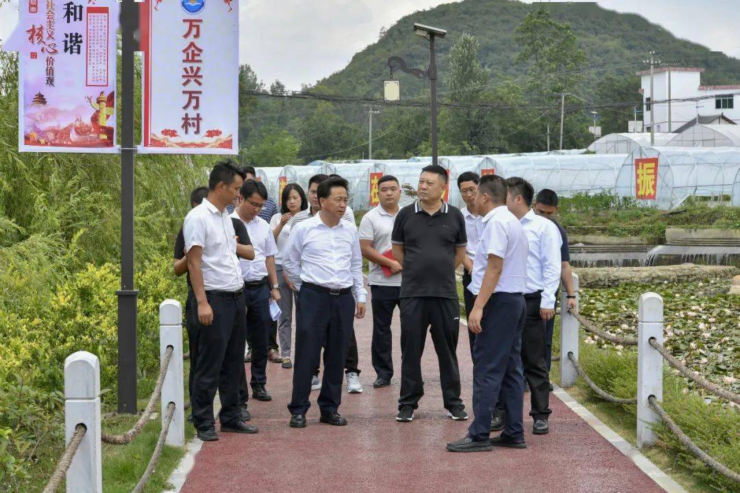 杨桦到猫场镇马场镇和大平乡调研乡村振兴工作