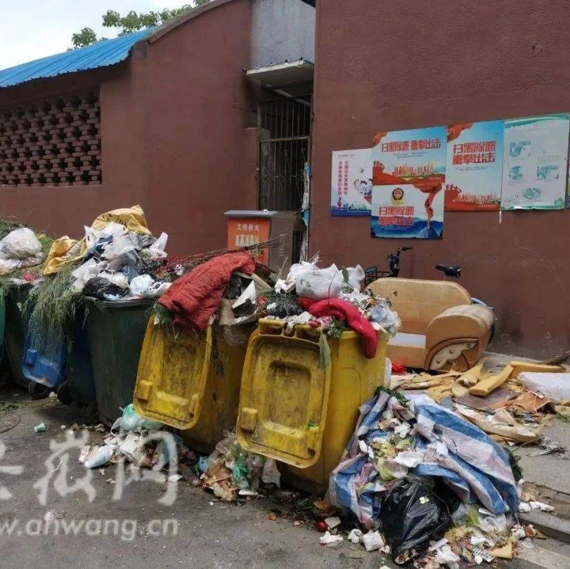 收不到费用物业撤离,又一老旧小区陷入混乱:垃圾成堆、虫蝇乱飞_卫材_七里站街道_居民