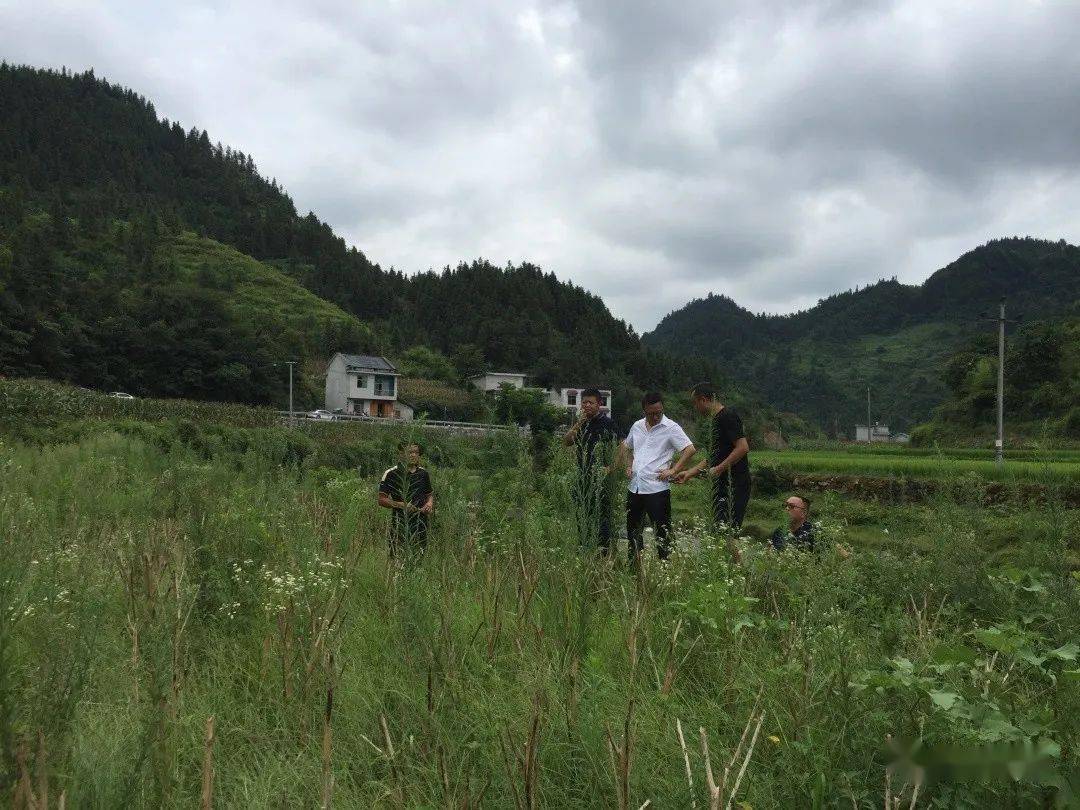 秀山縣狠抓汙水治理,助力鄉村振興_峨溶鎮_項目_工作