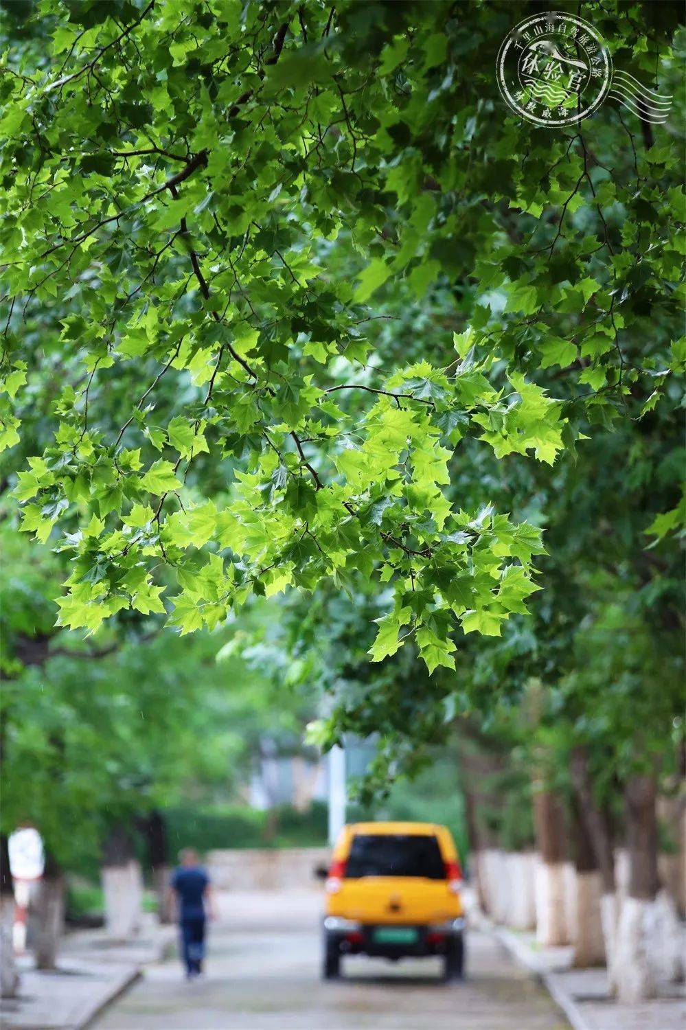 这里藏着漫画般的夏天。走在小巷，享受着绿荫下的自然清凉，尽情呼吸负