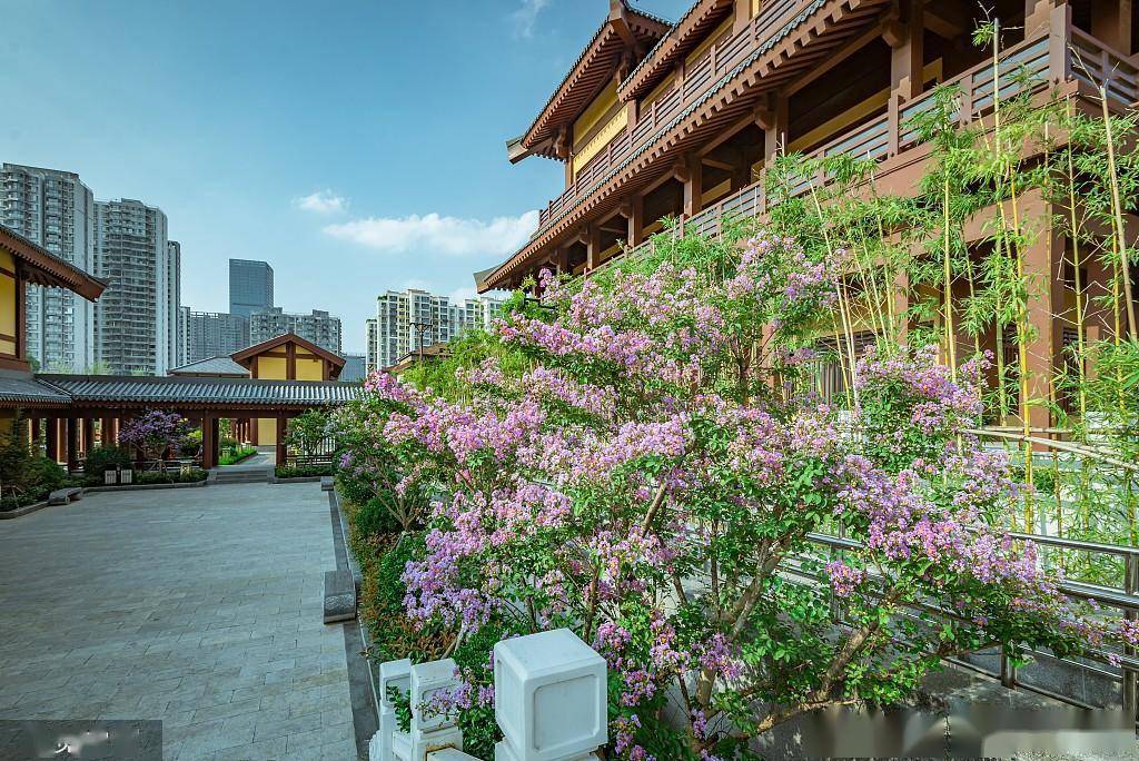 临沂:银雀山兵学文化公园_兵学_临沂