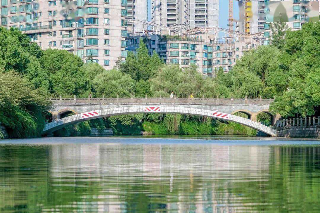 七夕,一起相会工大桥._浙工大_鹊桥_校园