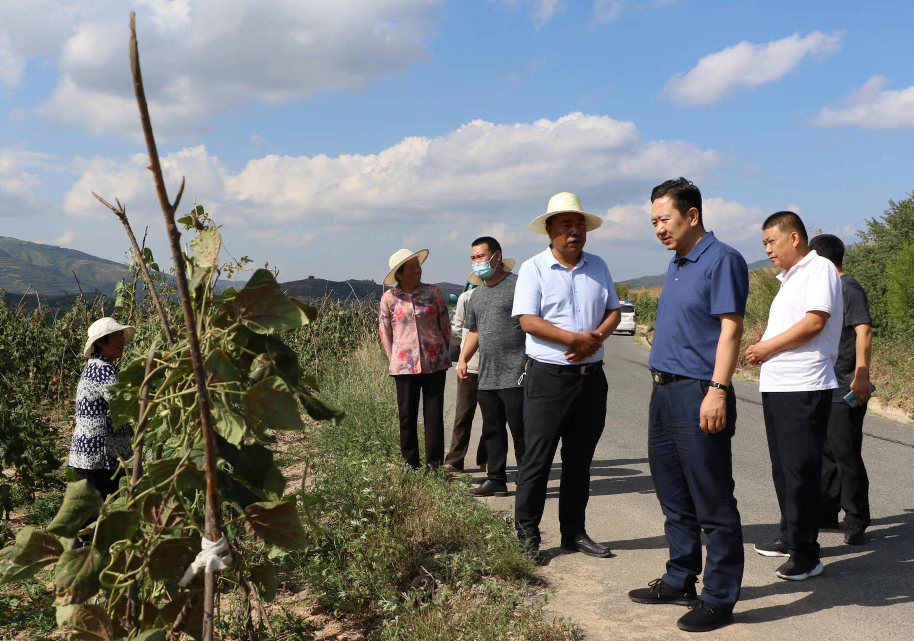 王志成调研指导农业农村工作_乡村_建设_杨河镇