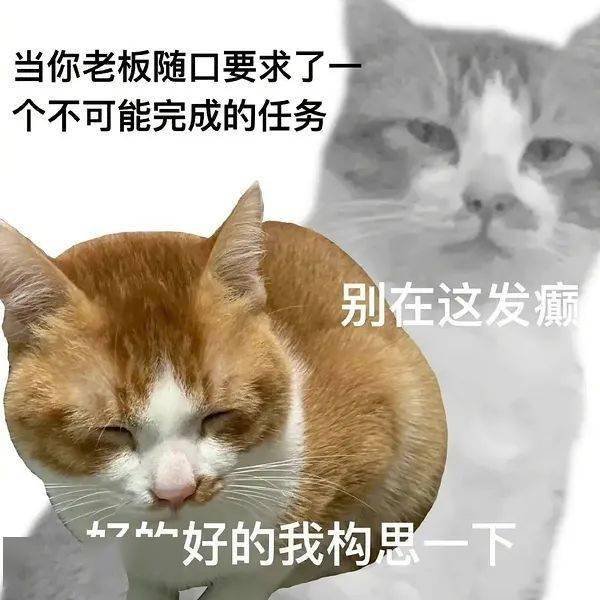 分享一波"表里不一"表情包 ​​​​:_包库_面孔_网络