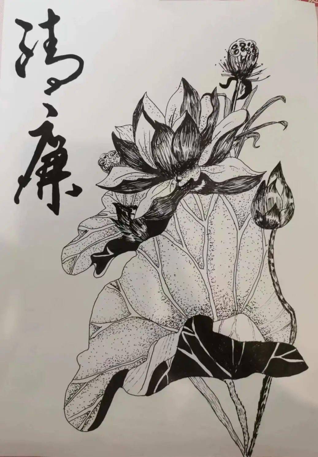 廉洁素描图片