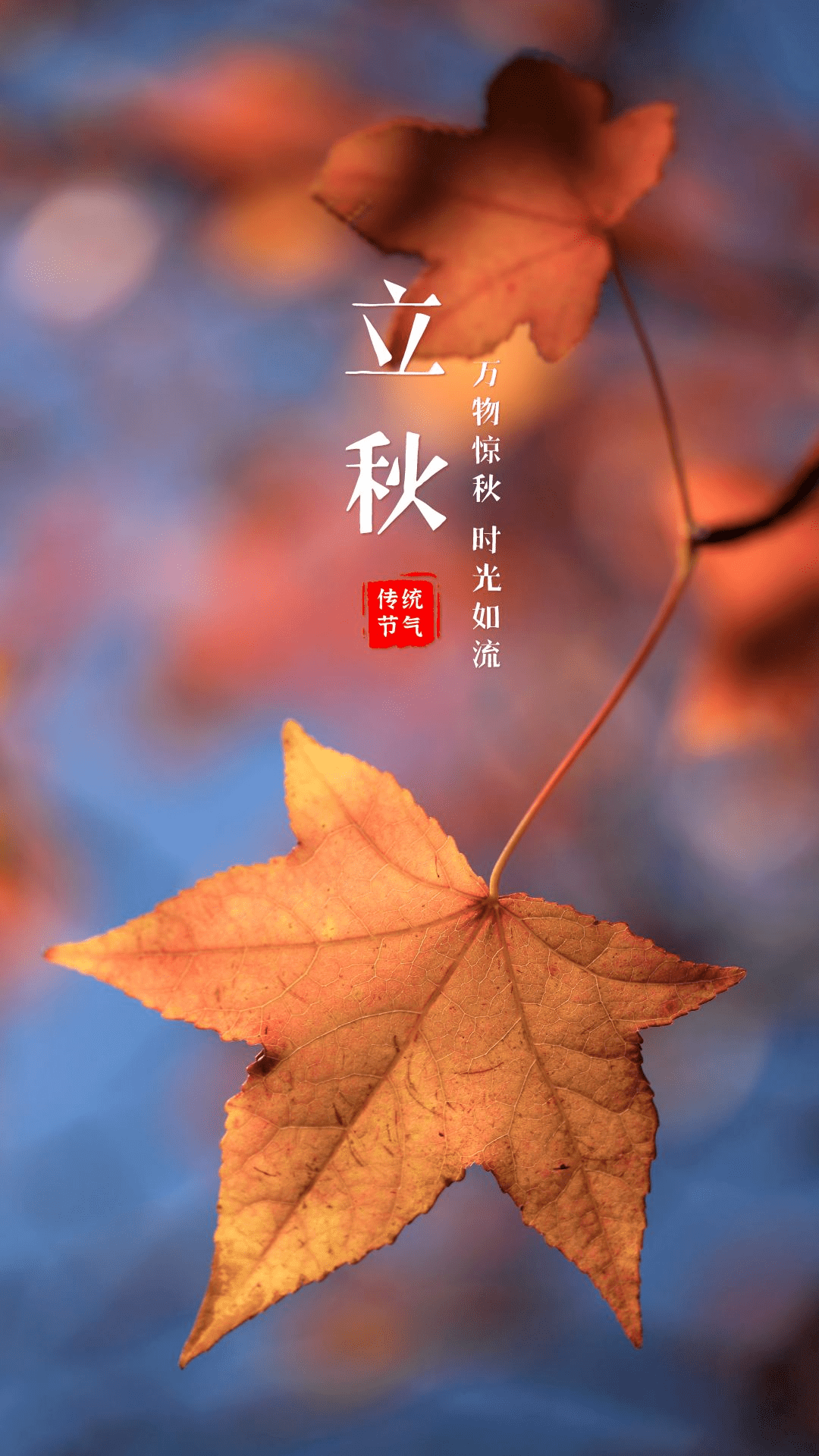 立秋节气祝福语图片精选