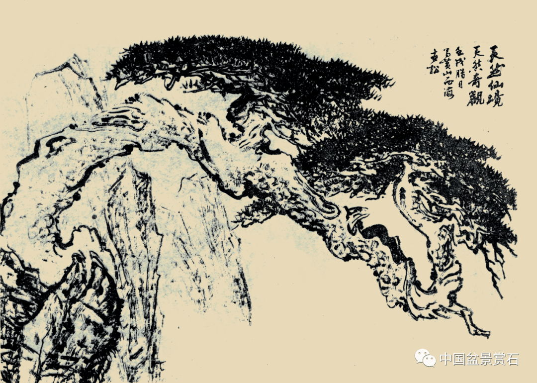 周士峰浅谈黄山松艺术形象对松树盆景创作的影响