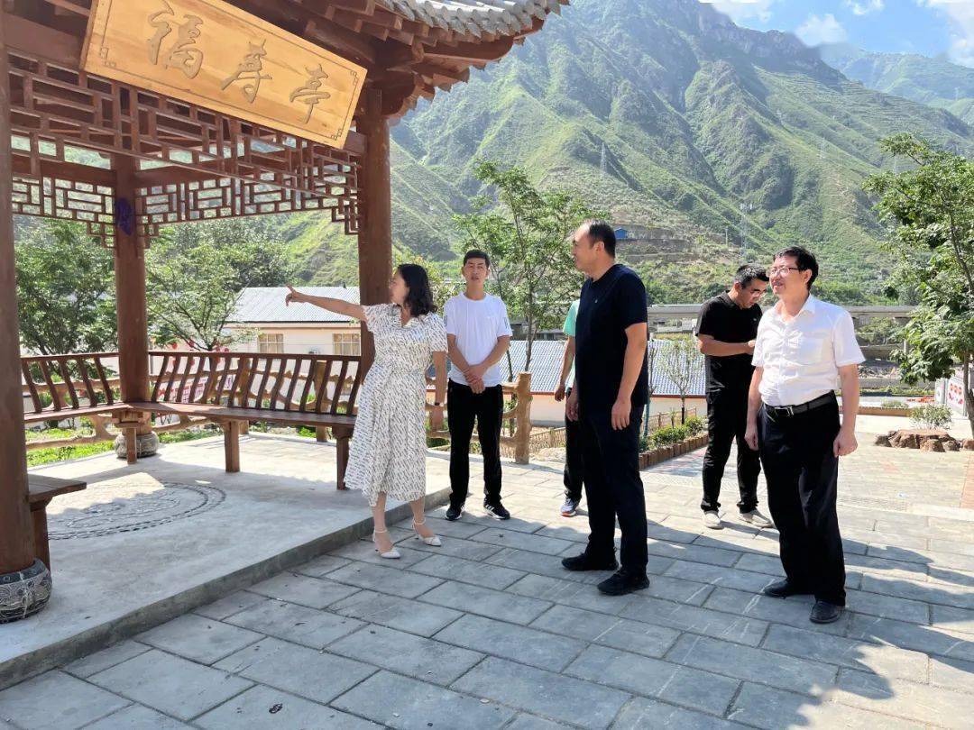 县委常委统战部部长袁蓓到临江镇检查指导乡村振兴示范村建设工作