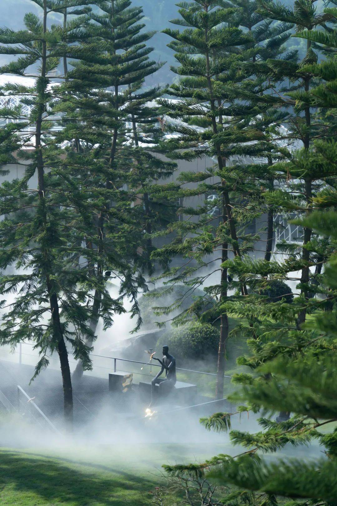 浪漫,在林下_景观_摄影_重庆