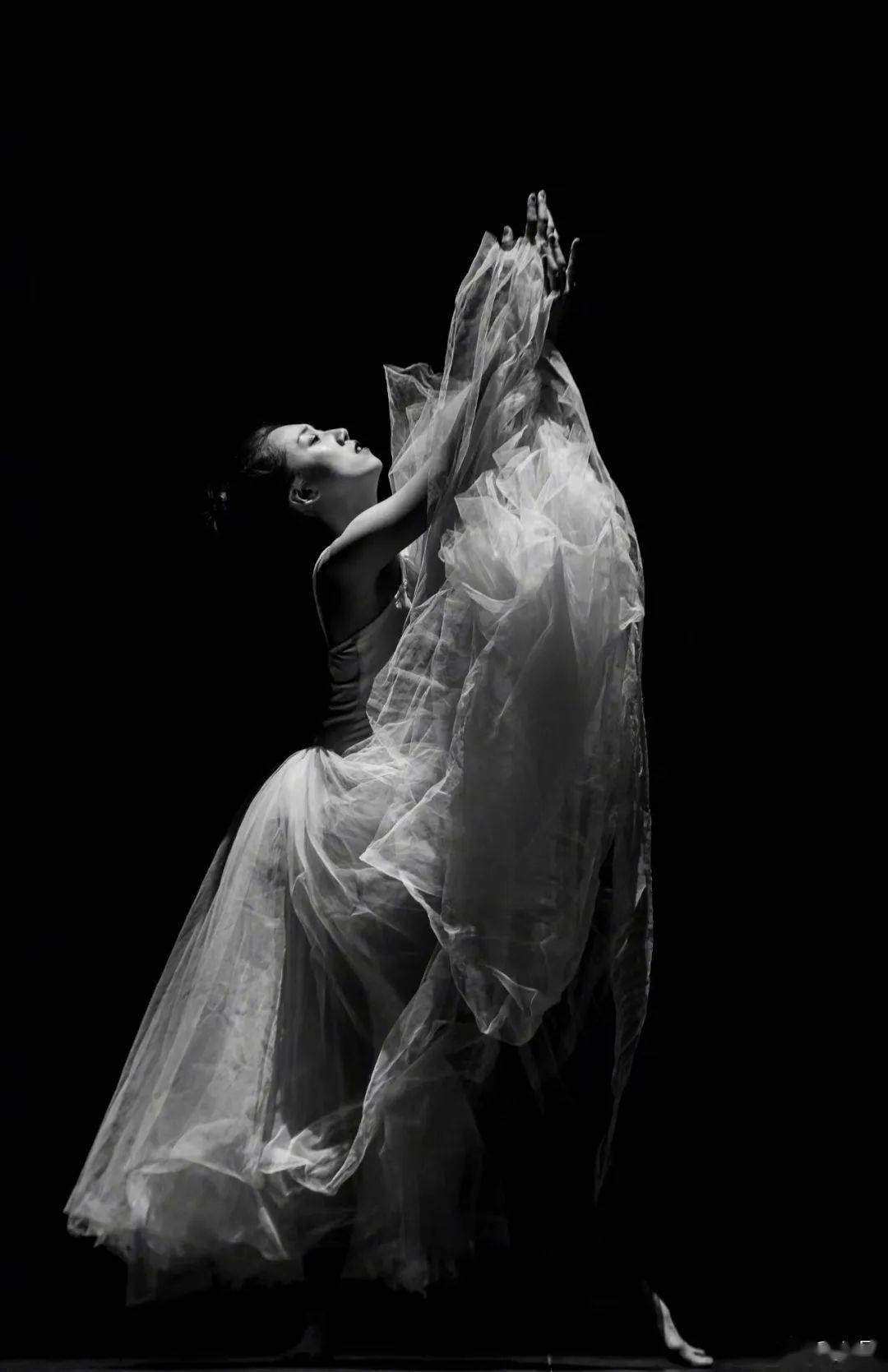 【舞蹈风暴】中国舞蹈家| 金星,舞蹈就是我,我就是舞蹈_舞台剧_艺术