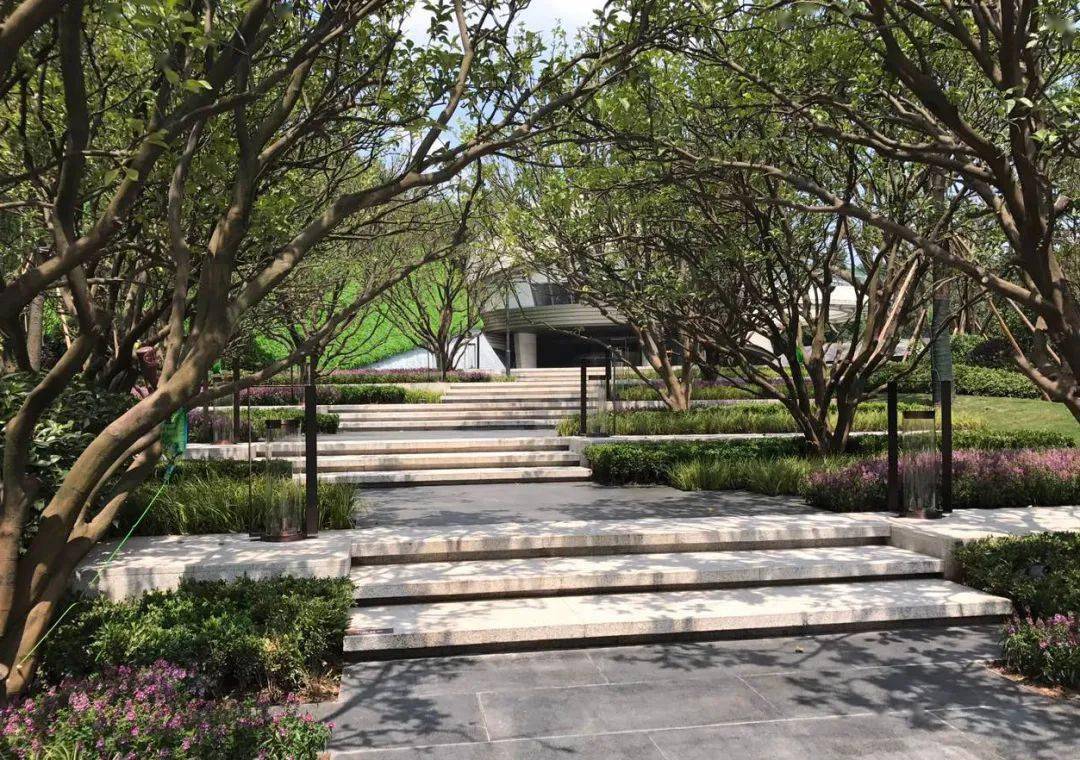 干货丨园路中的那些列植设计