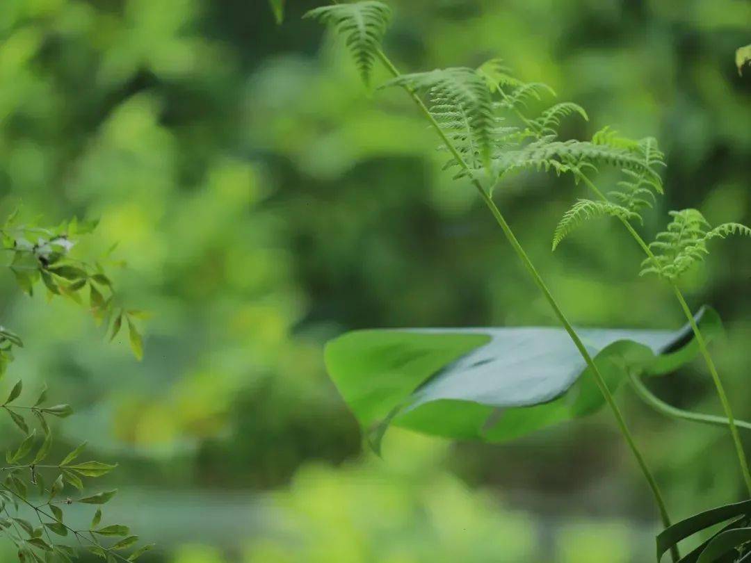 让你永不生病的三个字！（太精辟了）_搜狐网