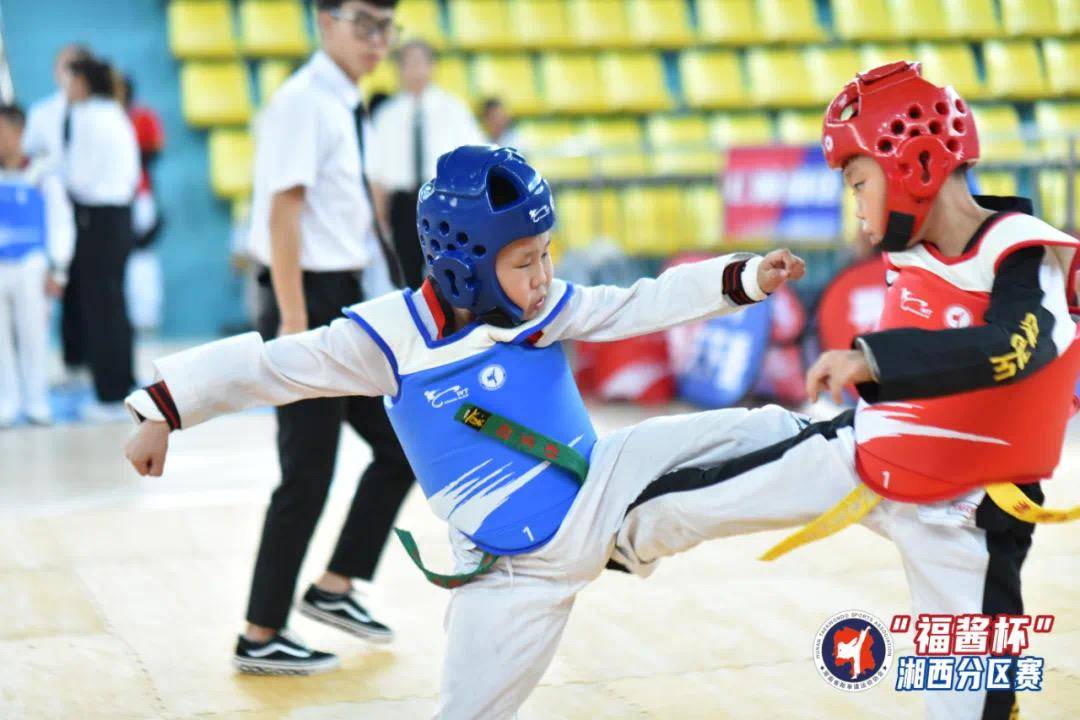 龙山三湘跆拳道,凤凰宏武跆拳道,泸溪龙武跆拳道摘得品势团体总分前三