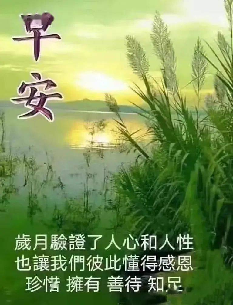 非常创意漂亮早上好问候表情图带字8张推荐关心亲友的早安祝福心语