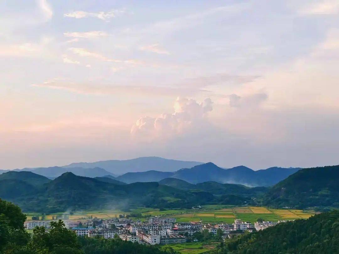 【基层政务公开"十县百乡"优秀案例展示】分宜县高岚乡