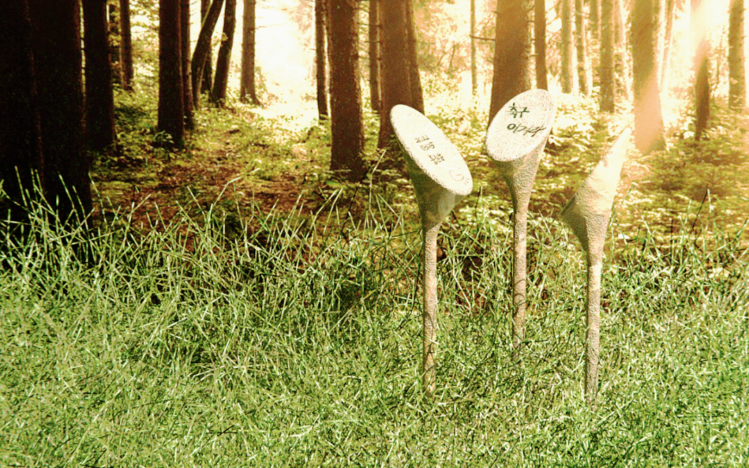 10例——环保可持续产品设计