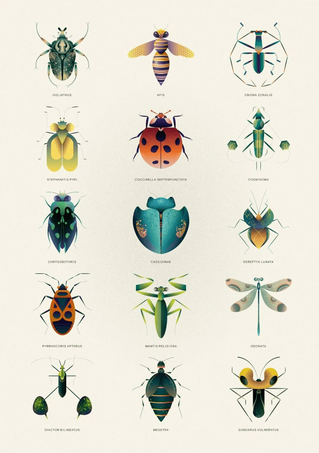 颜色令人着迷的科幻味昆虫插画_灵感_金点_的设计