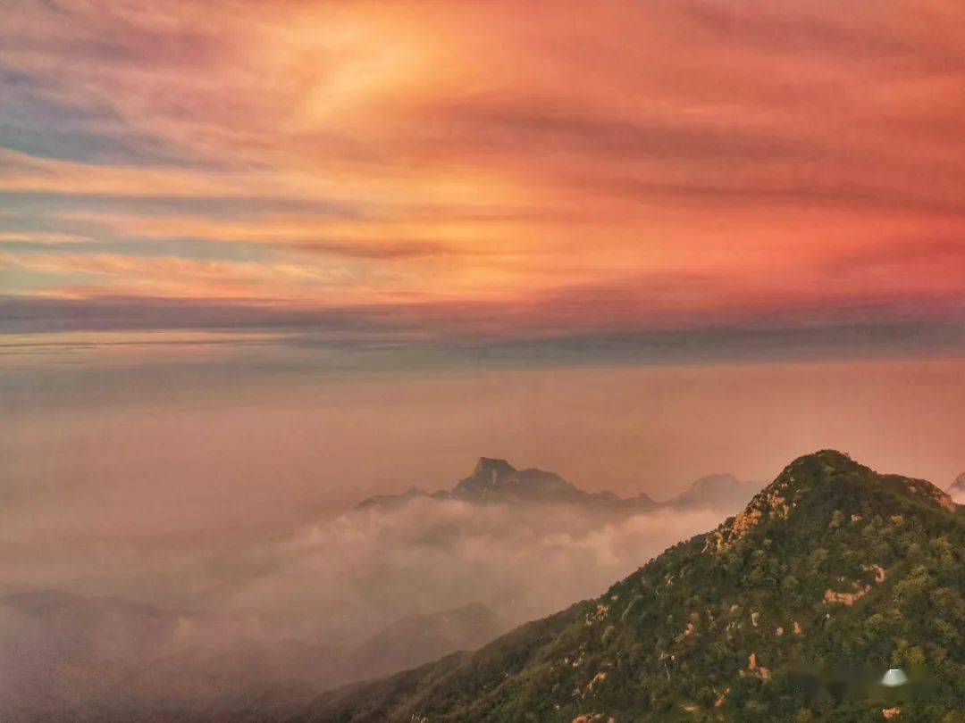 朝霞 晚霞,泰山美得让人目不暇接_霞光_太阳_景区