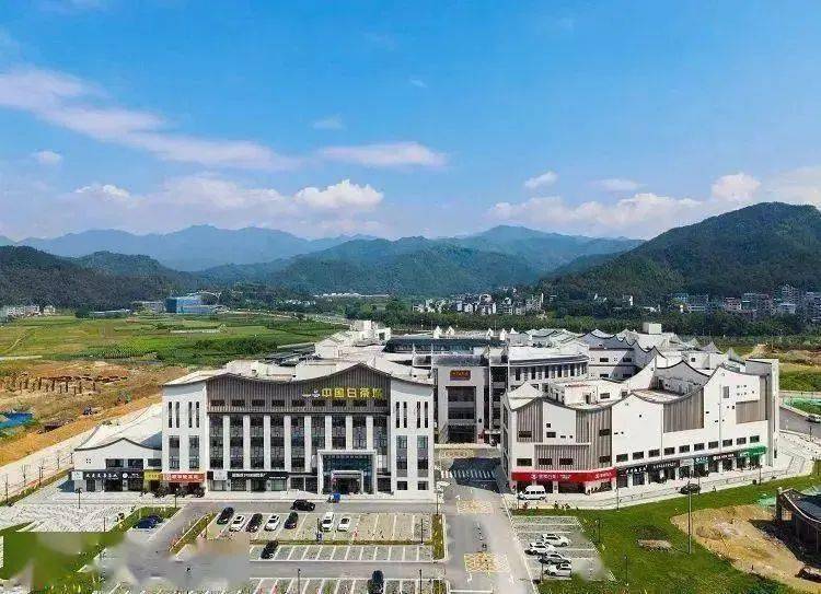 一起去 "城" 里喝白茶_政和县_中国_茶叶