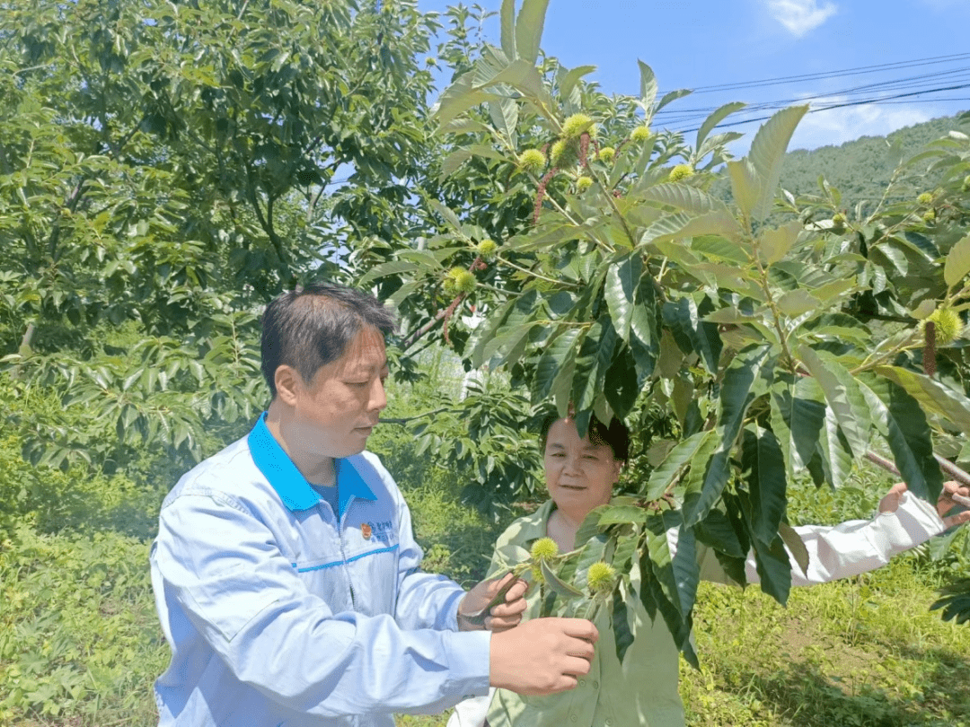 "第一书记"助力密云区庄头村建设"美丽乡村"