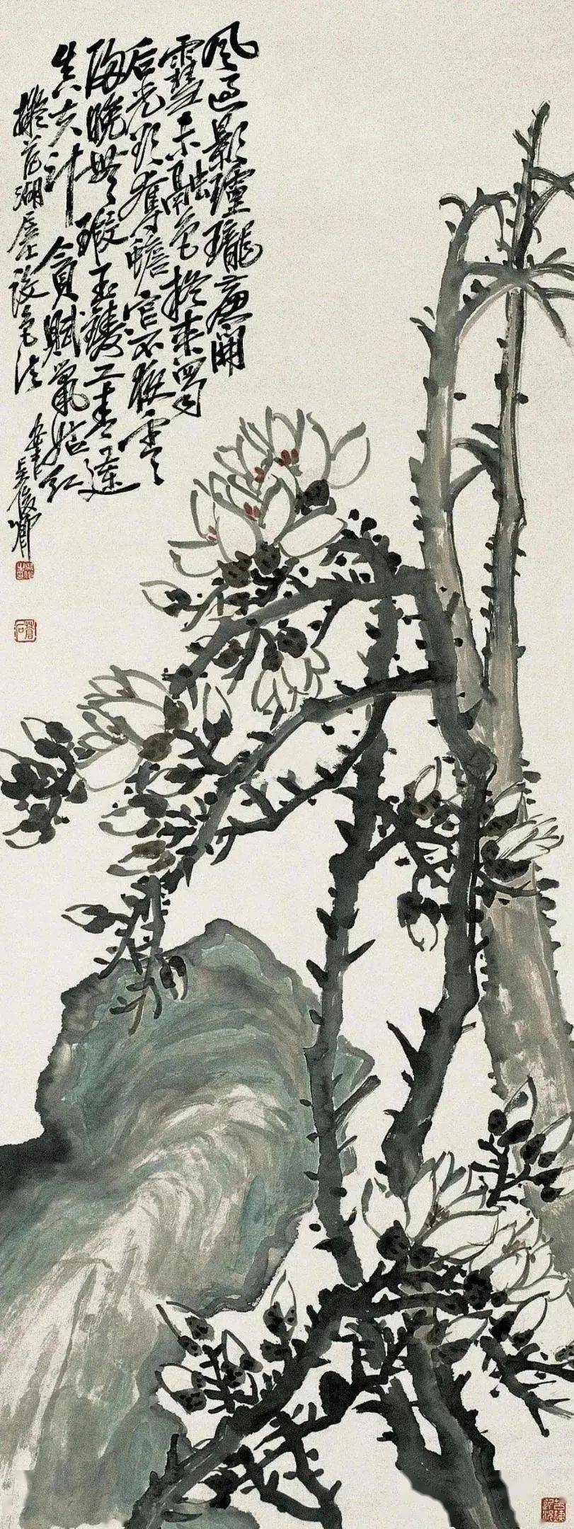 吴昌硕"写"玉兰,豪放又馨香