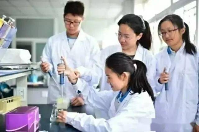 教师进修学校附属实验学校_学校附属进修实验教师待遇_学校附属进修实验教师工作总结