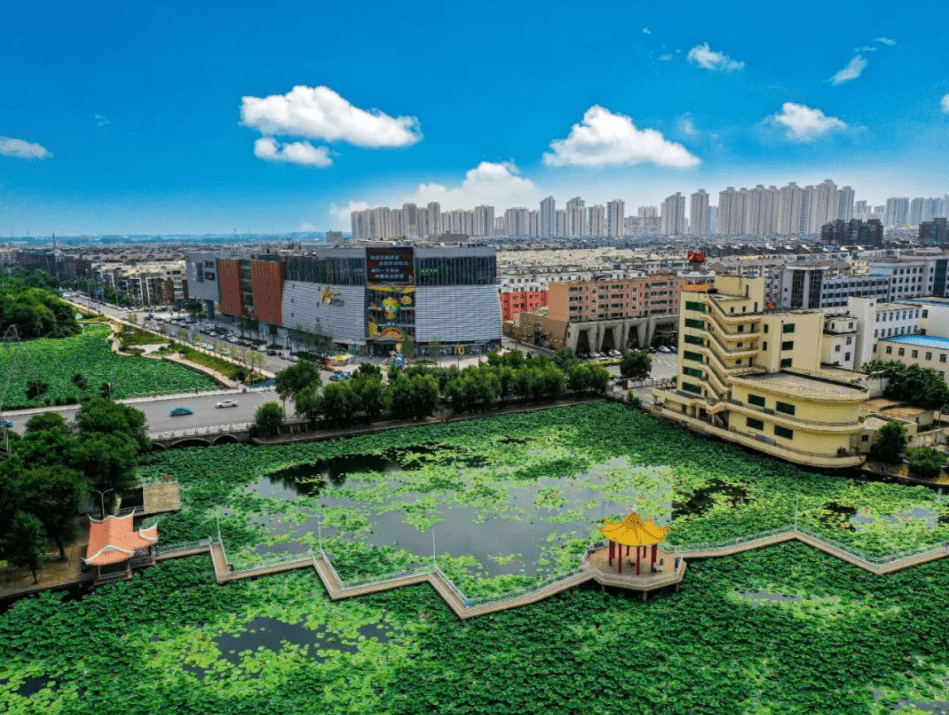 沈阳苏家屯区打造国家中心城市门户枢纽力争三年进入全省城区综合实力