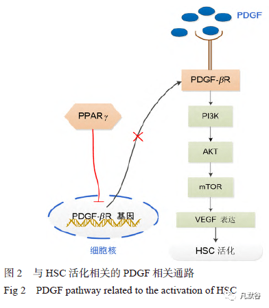 药物递释系统用于肝纤维化的开发与思考