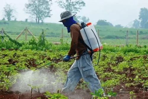 打完农药就下雨要不要重新打一遍很多人都搞错了