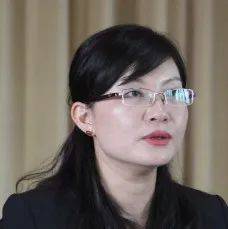38岁跻身正厅级的她,落马_段颖_云南省纪委_金山区