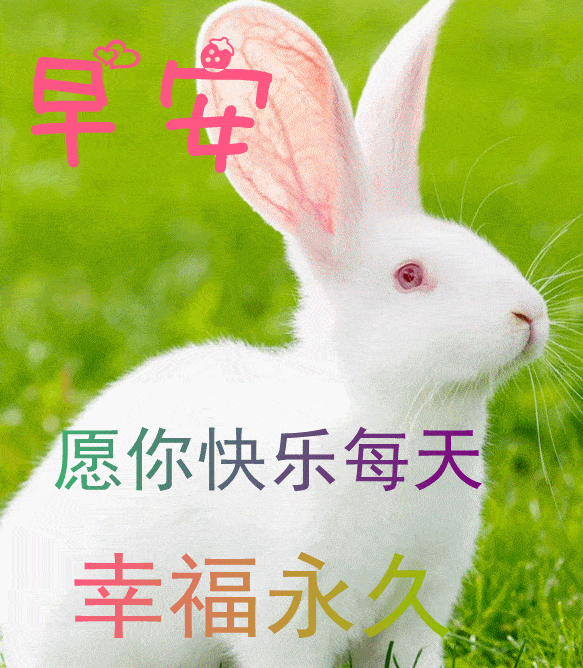 8月12日最漂亮早上好动态表情图片大全,早晨好动图美图大全_人生_问候