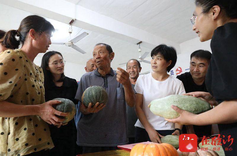 我们的新时代丨沂南县 南瓜小镇评出 南瓜大王 湖头镇 种植 昱葆