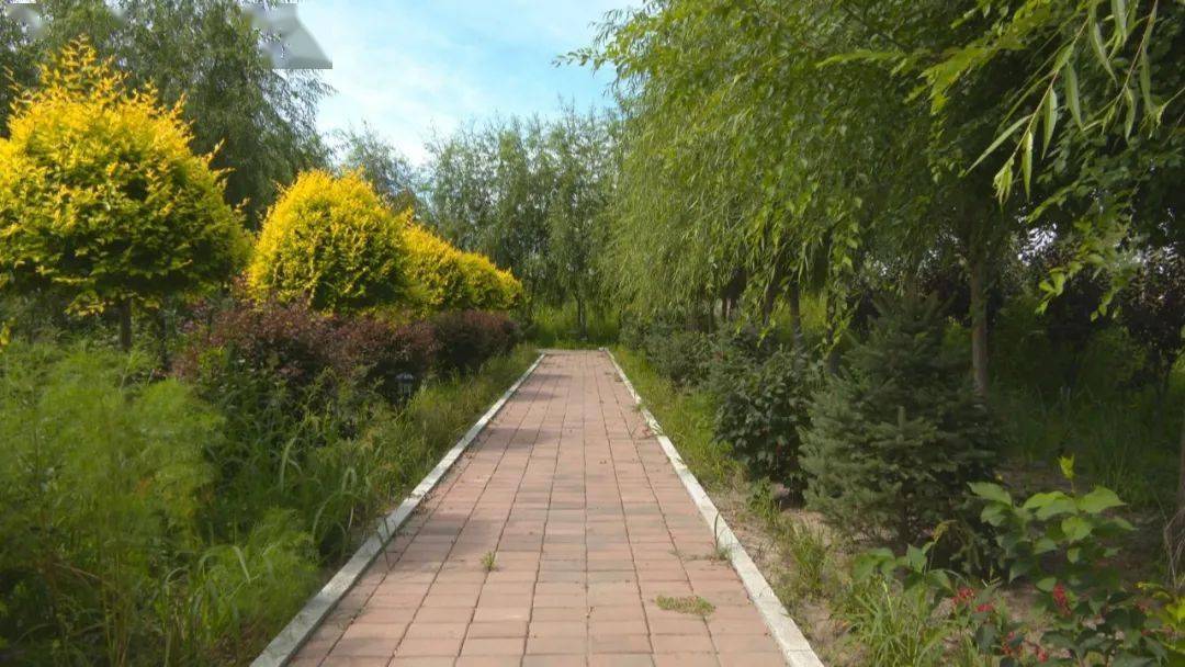 公主岭双城堡镇环境整治成效显著集体经济增长迅速