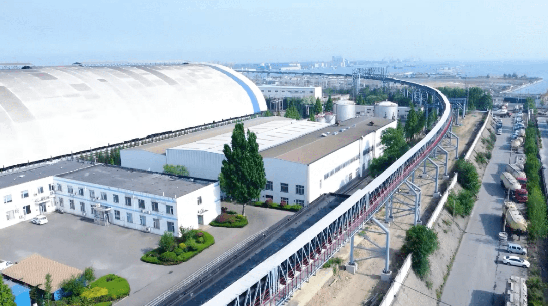 华能日照电厂:增色"党旗红" 严把"口粮关"_燃料_保障_指标