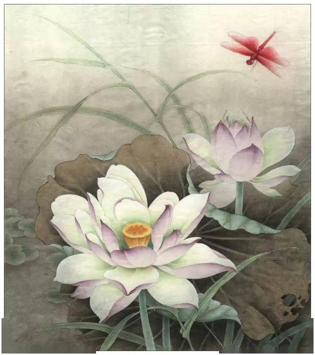 李晓明工笔《紫荷红蜻蜓》绘制步骤_水草_整体_部分