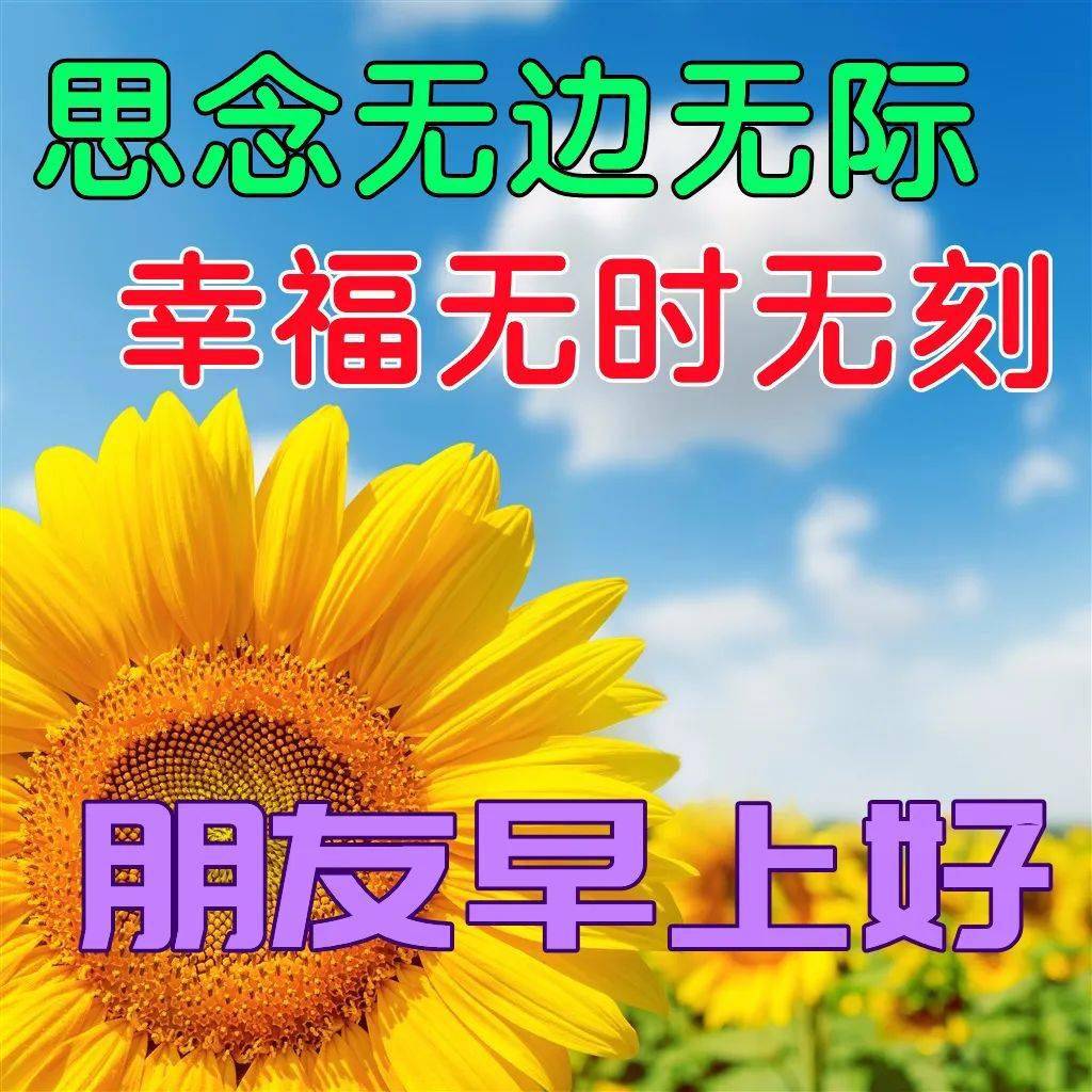 2022最新早上好表情包