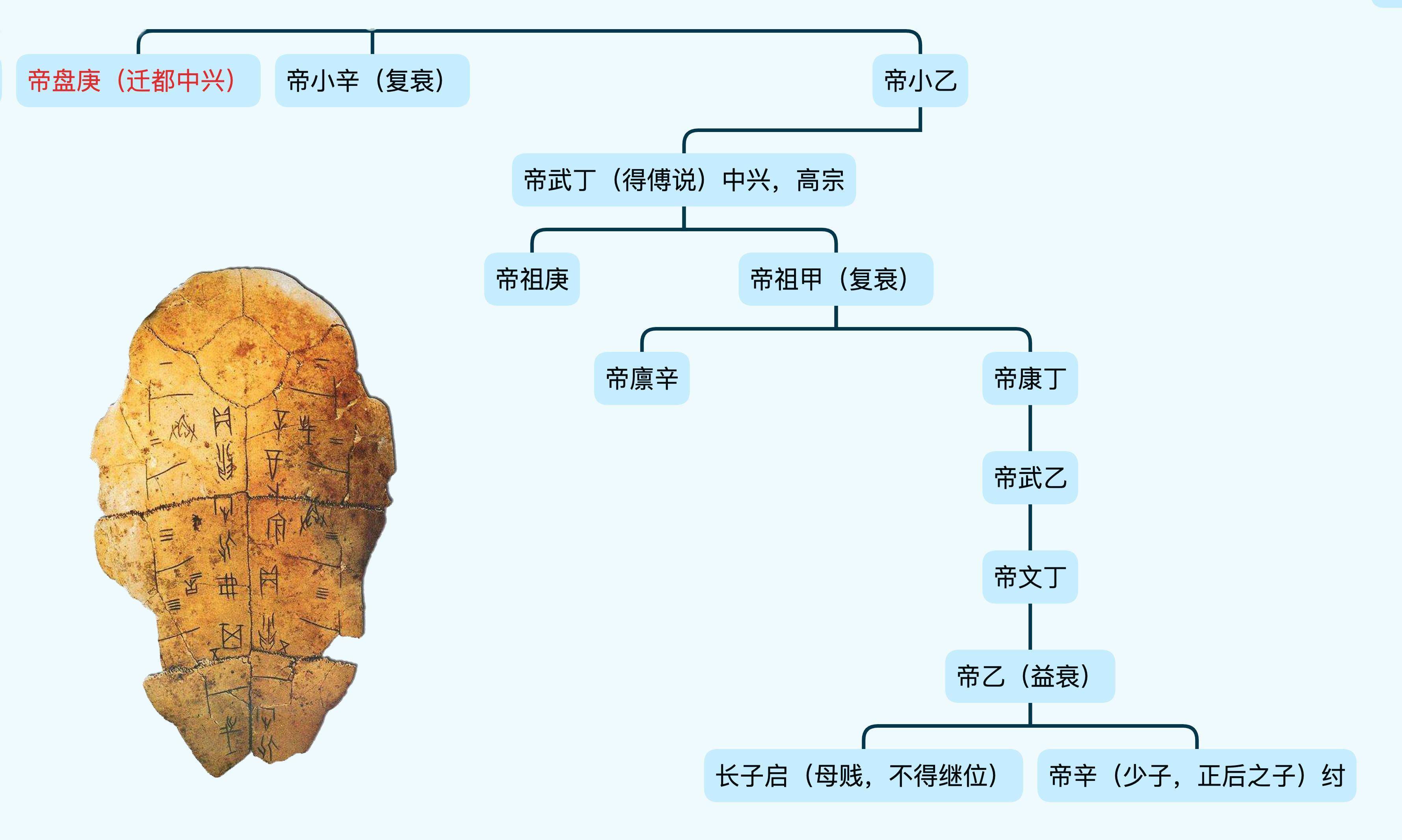 《中国书法史》:关于甲骨文书法的一些基础知识