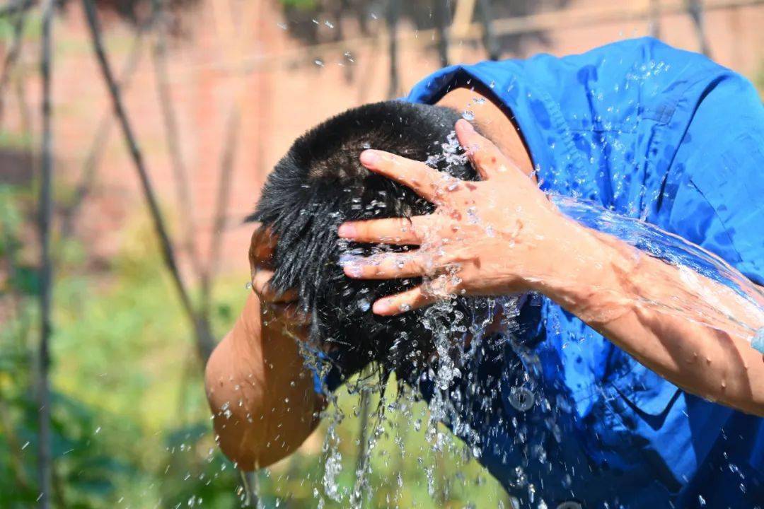 养路_机械车_进行