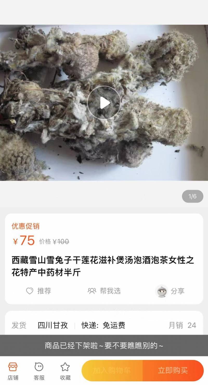 专家谈疑被网售的国家保护植物雪兔子：并不壮阳生长周期漫长_南都_雪莲_藏区