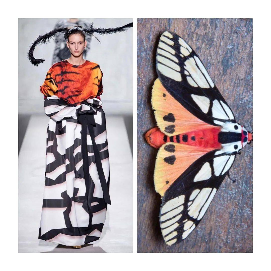 她以大自然为灵感,把山河星辰穿在身上,仿生设计爆红ins_时装_服装