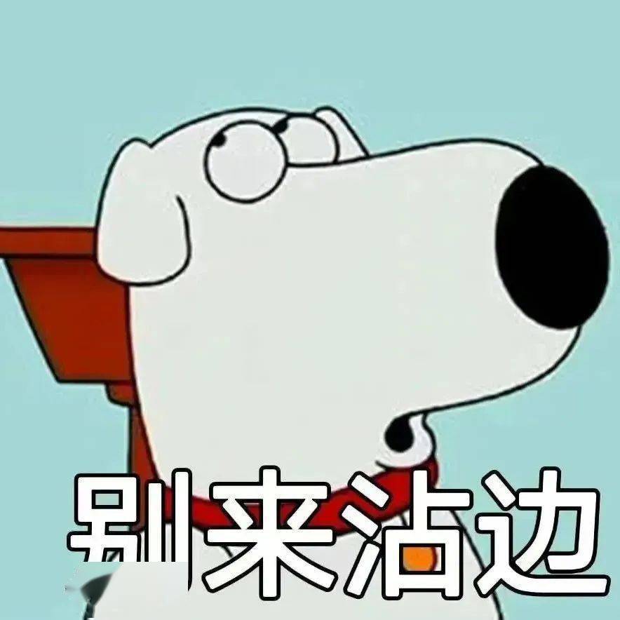 沙雕搞笑表情包 i 我有一个大胆的想法_熊猫头_丑也_什么