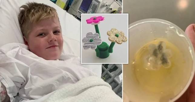 澳大利亚男孩误吞玩具 卡在喉咙5年才取出